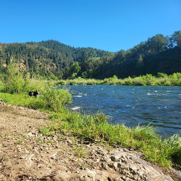 riverthyme